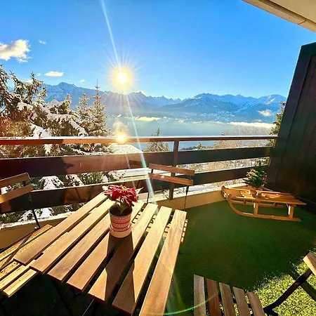 Vue Imprenable Sur Les Alpes Et Parking Prive Gratuit