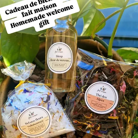 Vue Imprenable Sur Les Alpes Et Parking Prive Gratuit Lägenhet *