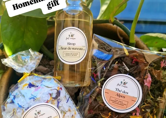 Vue Imprenable Sur Les Alpes Et Parking Prive Gratuit Apartment *